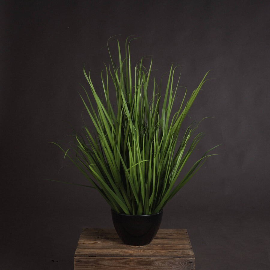 Large Field Grass Pot