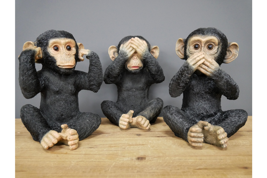3 Wise Monkeys