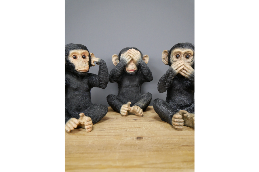 Set of 3 Monkeys