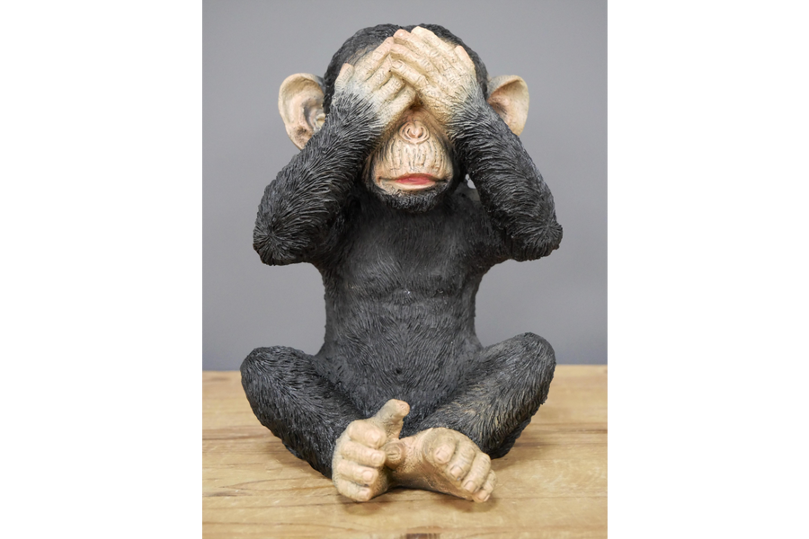 3 Wise Monkeys