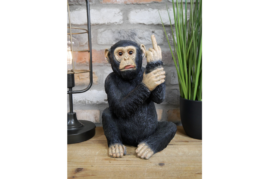 Up Yours Monkey (Large)