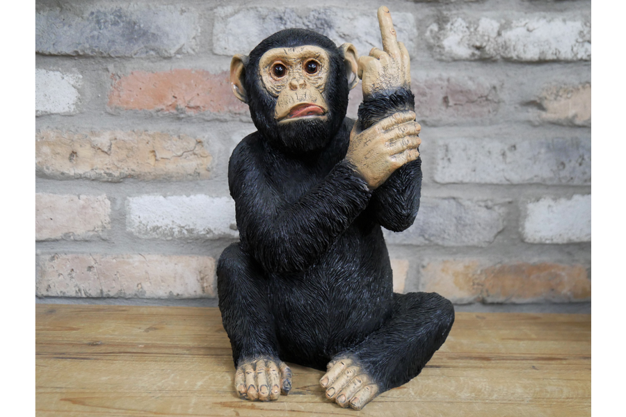 Up Yours Monkey (Large)