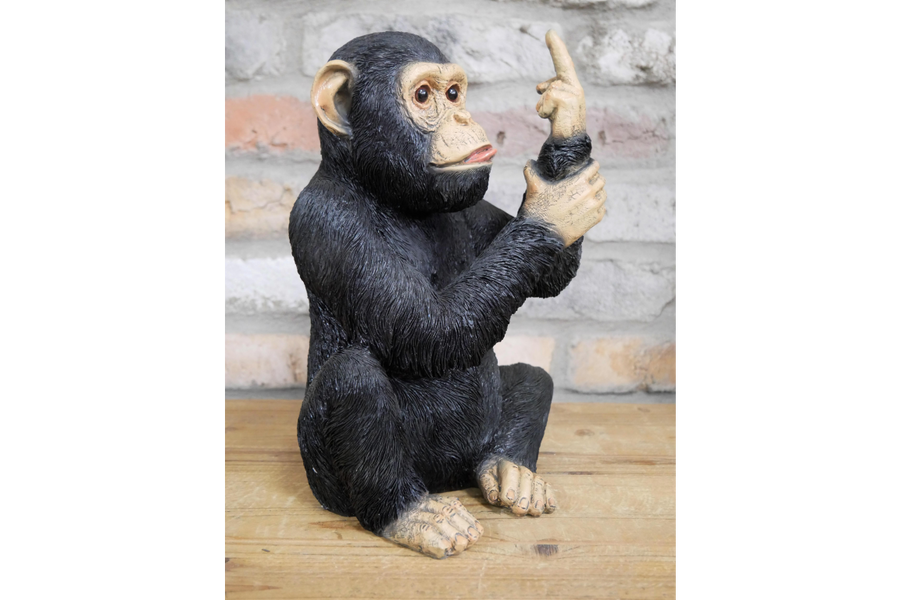 Up Yours Monkey (Large)