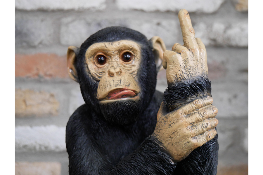 Up Yours Monkey (Large)