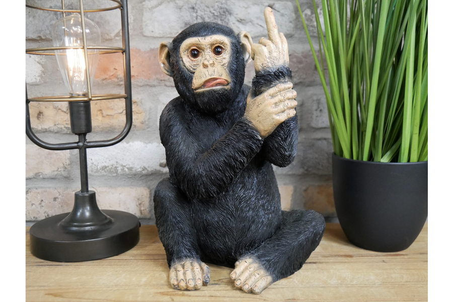 Up Yours Monkey (Large)