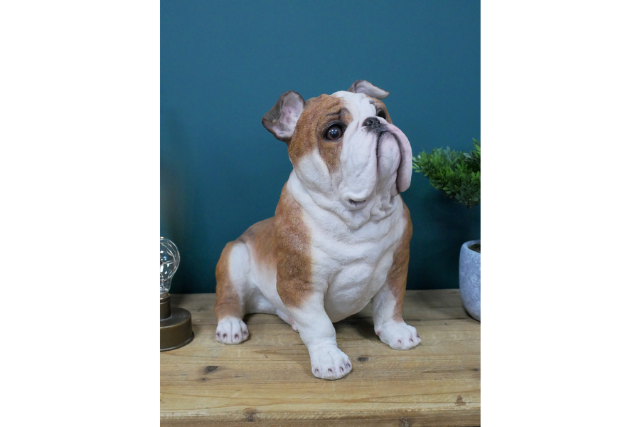 BullDog Statue