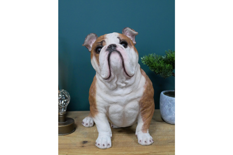 BullDog Statue