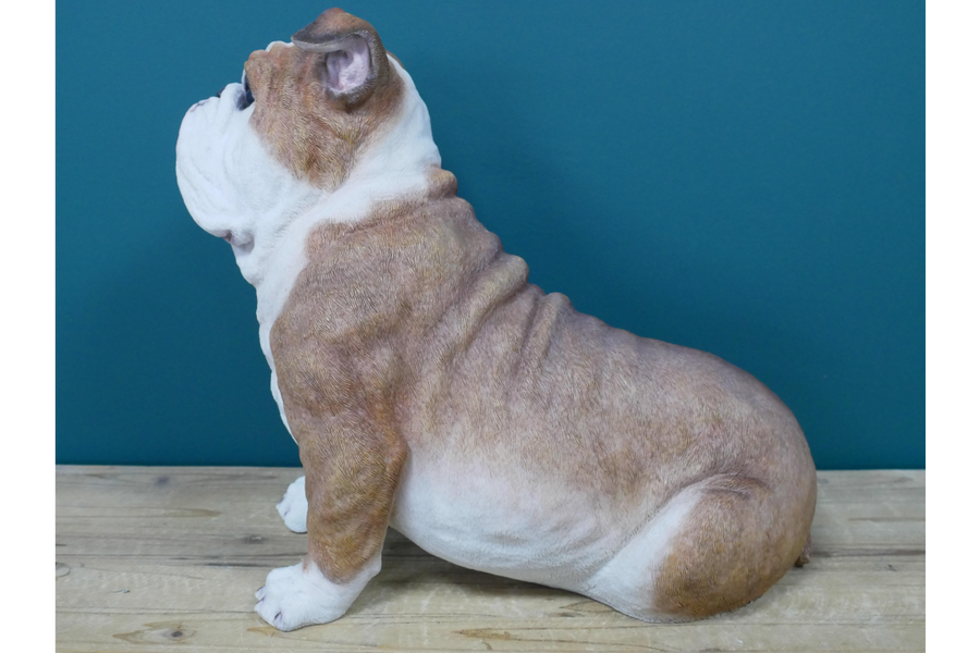 BullDog Statue