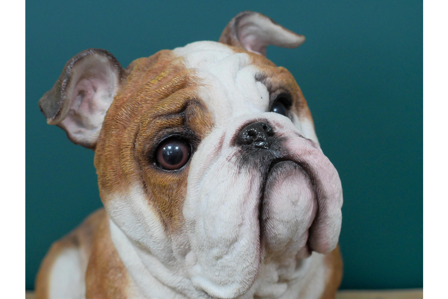 BullDog Statue
