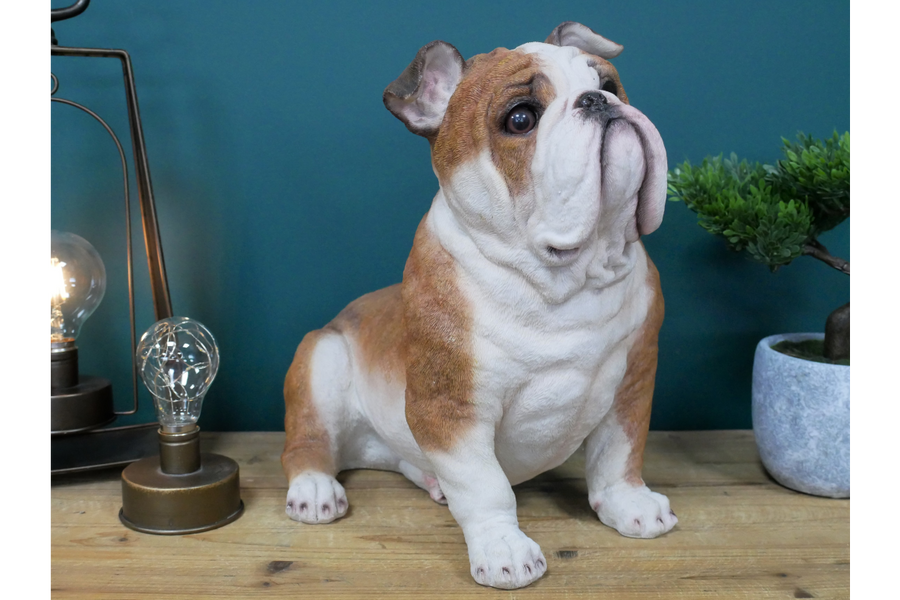 BullDog Statue