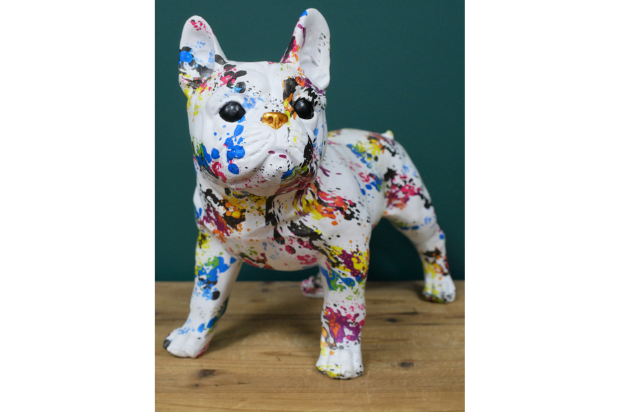 Multi Coloured Dog