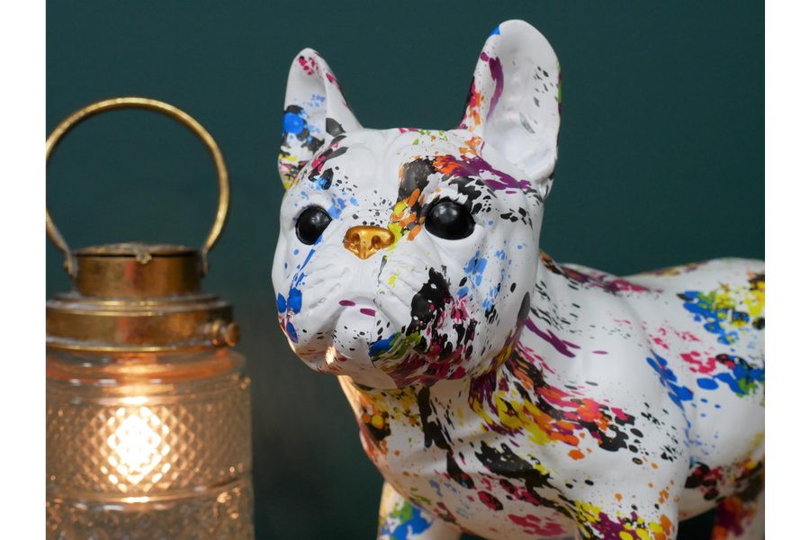Multi Coloured Dog