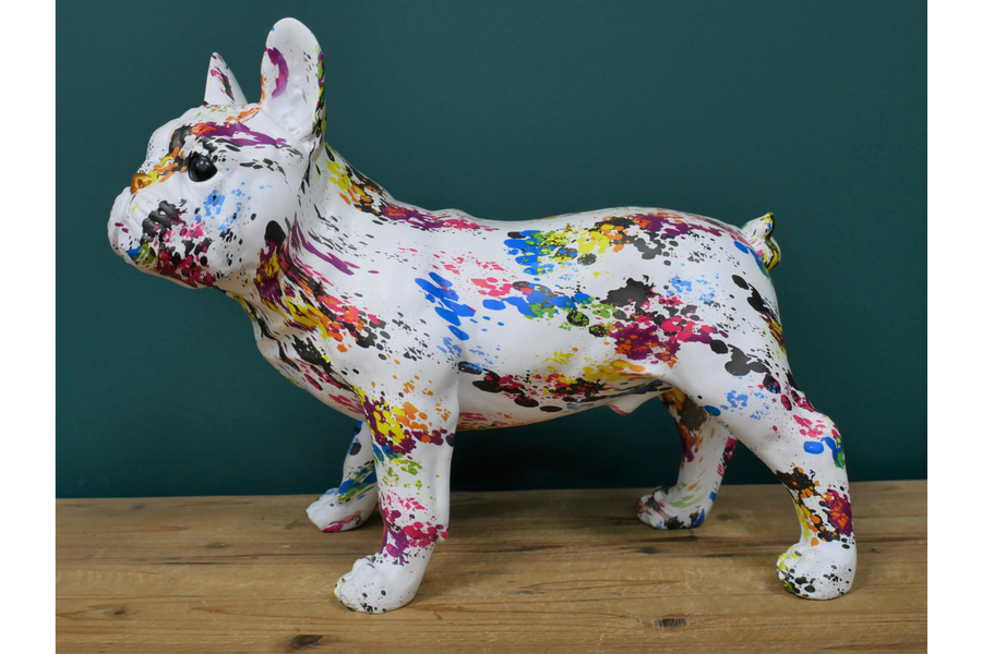 Multi Coloured Dog