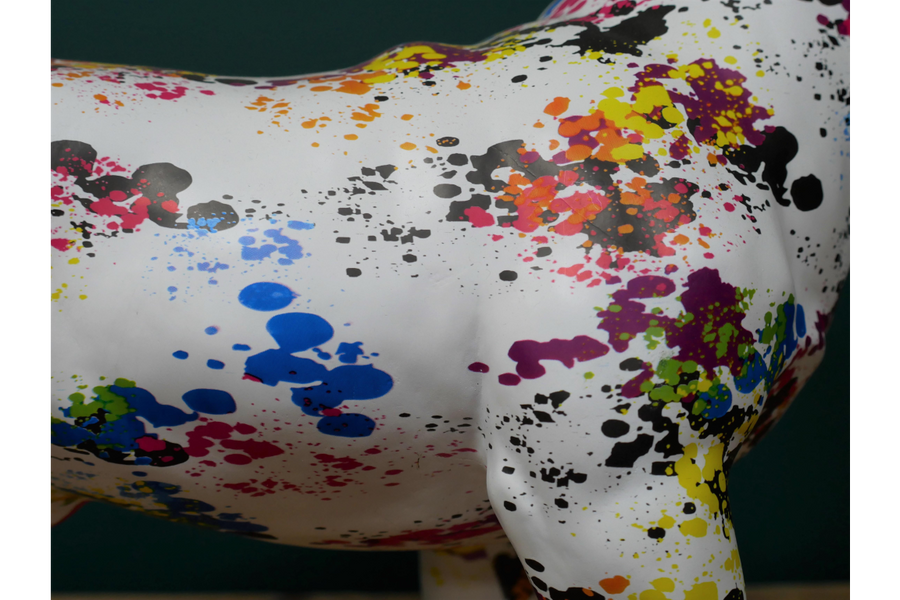 Multi Coloured Dog