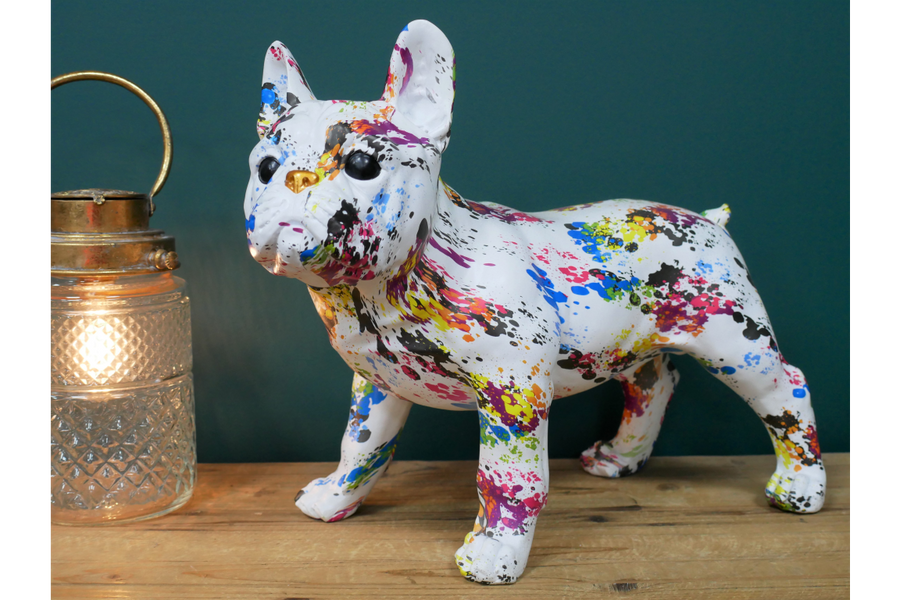 Multi Coloured Dog