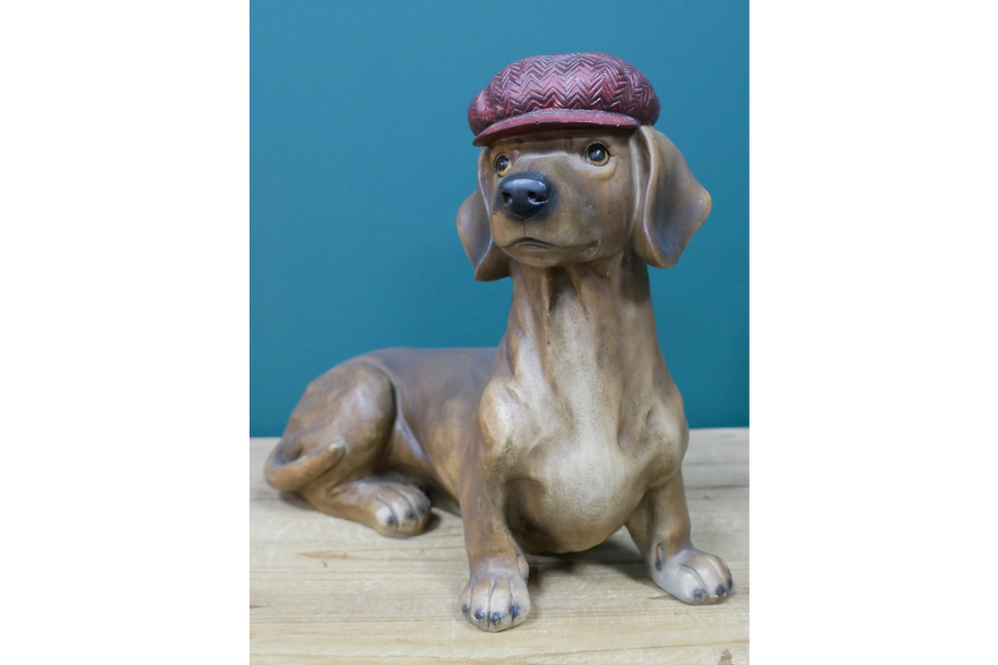 Simon the Sausage Dog