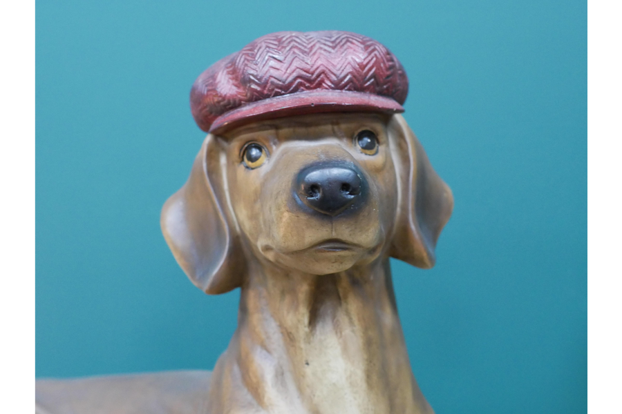 Simon the Sausage Dog