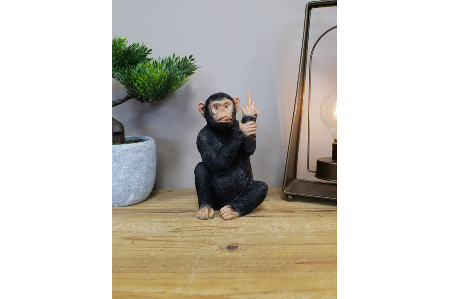 Up Yours Monkey (Medium)