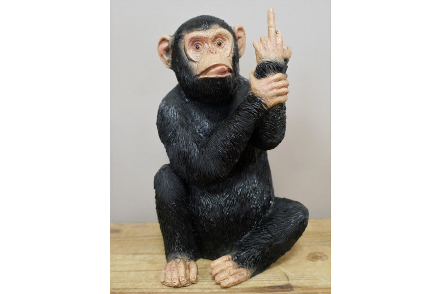 Up Yours Monkey (Medium)