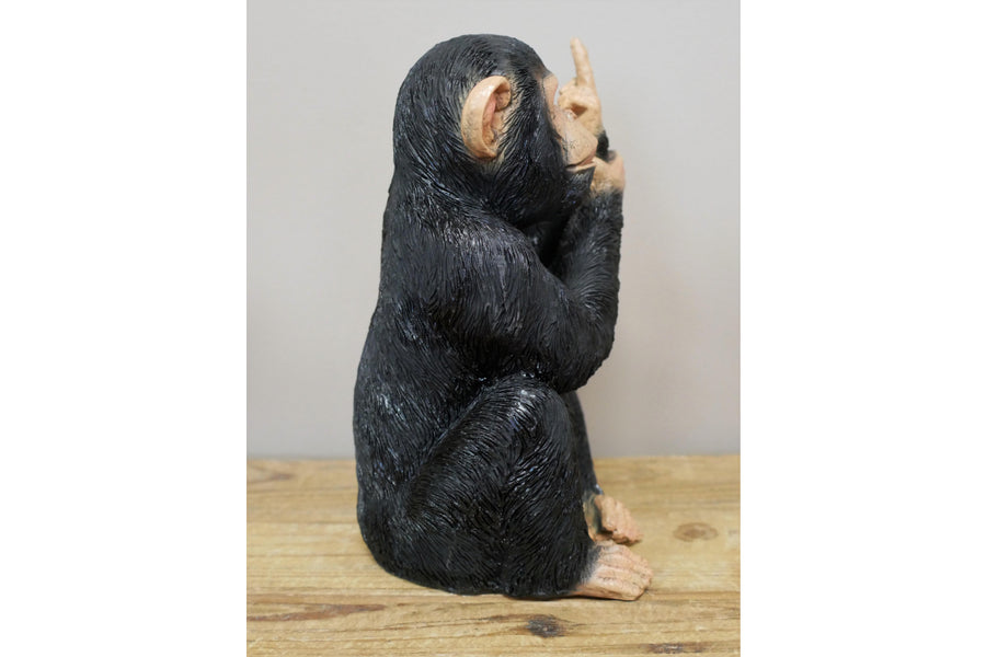 Up Yours Monkey (Medium)