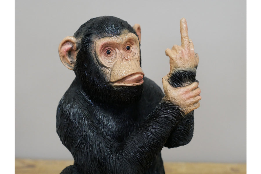 Up Yours Monkey (Medium)
