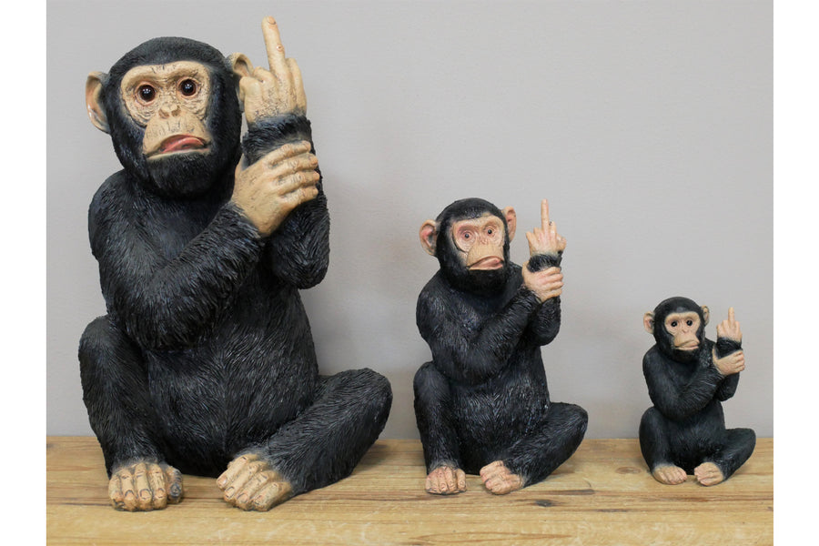 Up Yours Monkey (Medium)